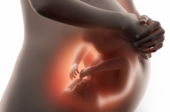 shutterstock_235129588